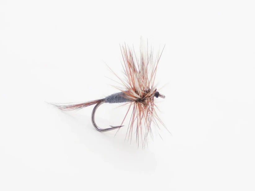 Trockenfliege - Adams