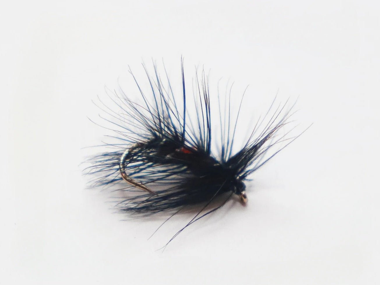 Nassfliege - Bibio, schwarz, rot, buschige Hecheln