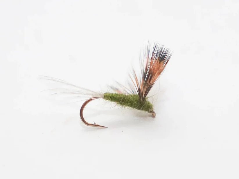 Trockenfliege - Compara Dun olive