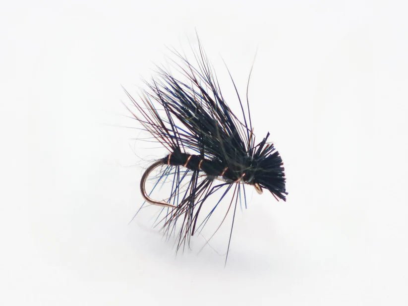 Trockenfliege - Elke Hair Caddis schwarz