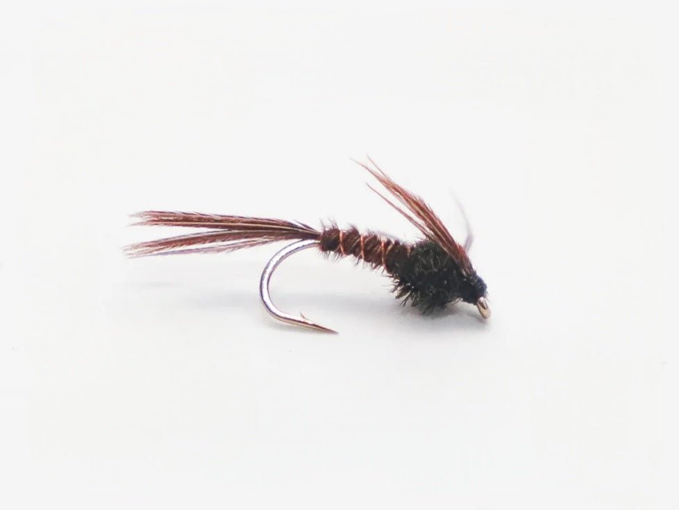 Nymphenfliege - Flashback Pheasant Tail
