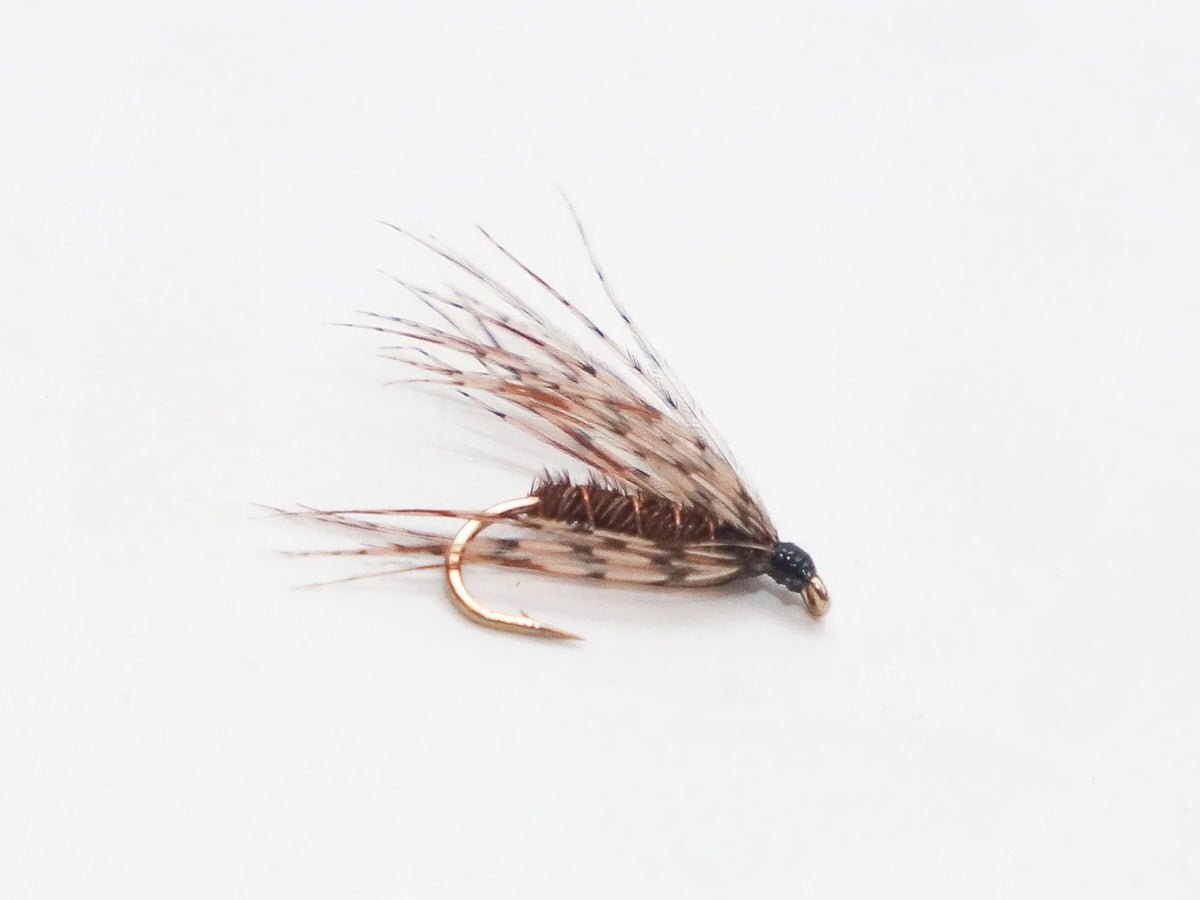 Nassfliege - Soft Hackle Pheasant Tail