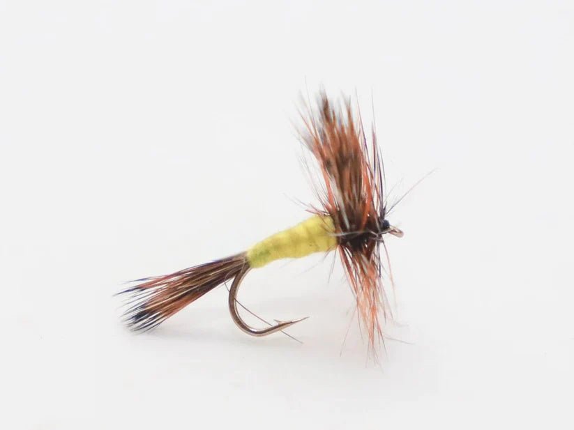 Trockenfliege - Yellow Wulff