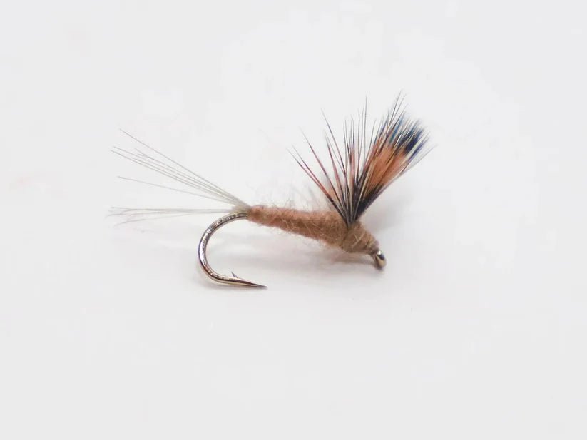 Trockenfliege - Compara Dun braun