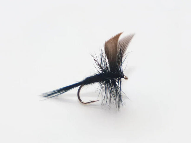 Trockenfliege - Black Gnat