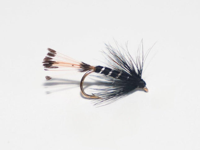 Nassfliege - Black Pennell