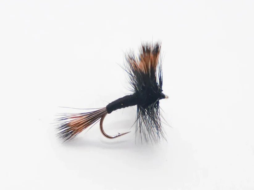 Trockenfliege - Black Wulff