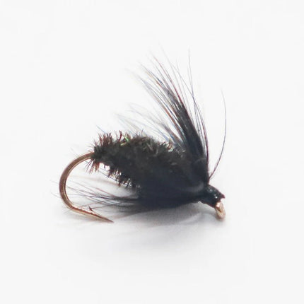 Nassfliege - Black & Peacock Spider