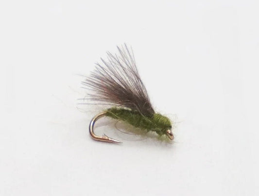 Trockenfliege - CDC-Olive