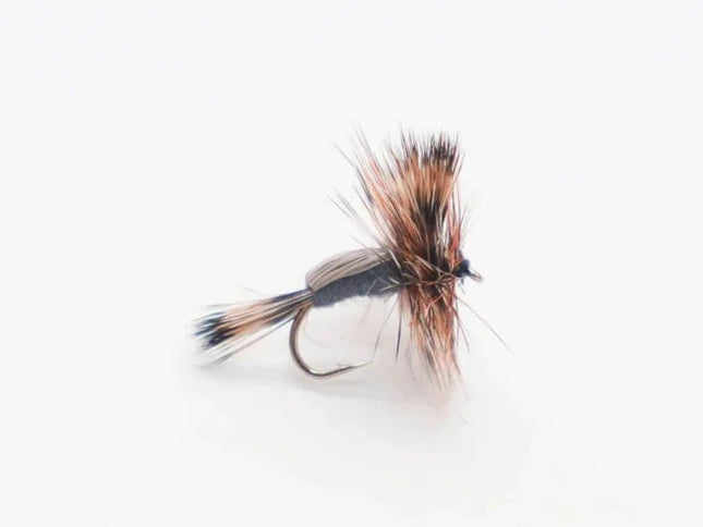 Trockenfliege - Gray Humpy