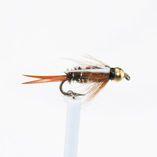 Nymphenfliege - Prince Goldkopf