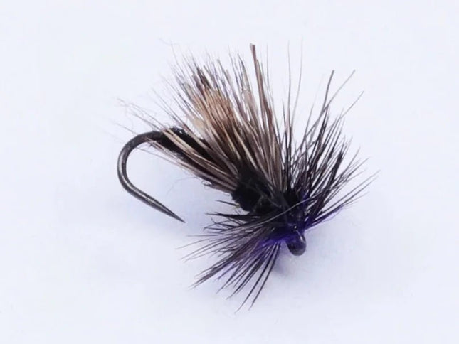 Trockenfliege - Sedge Tricopthere schwarz