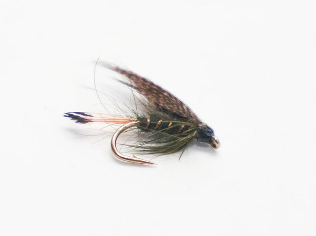 Nassfliege - Sooty Olive