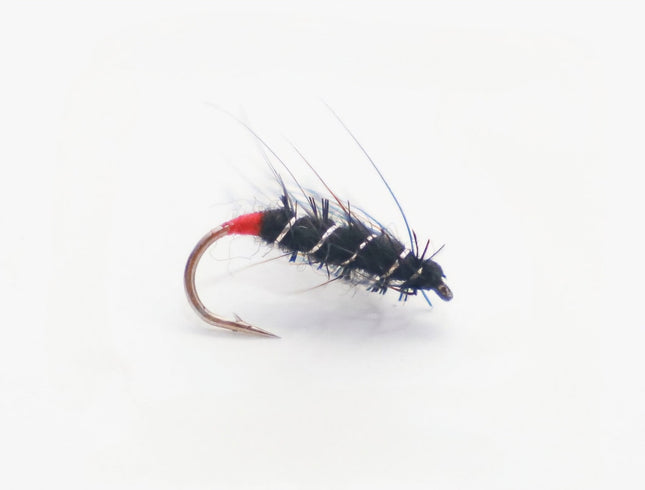 Nassfliege - Super Pupa schwarz