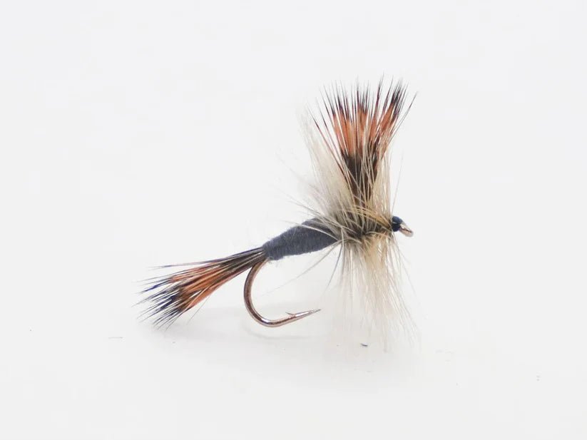 Trockenfliege - Gray Wulff